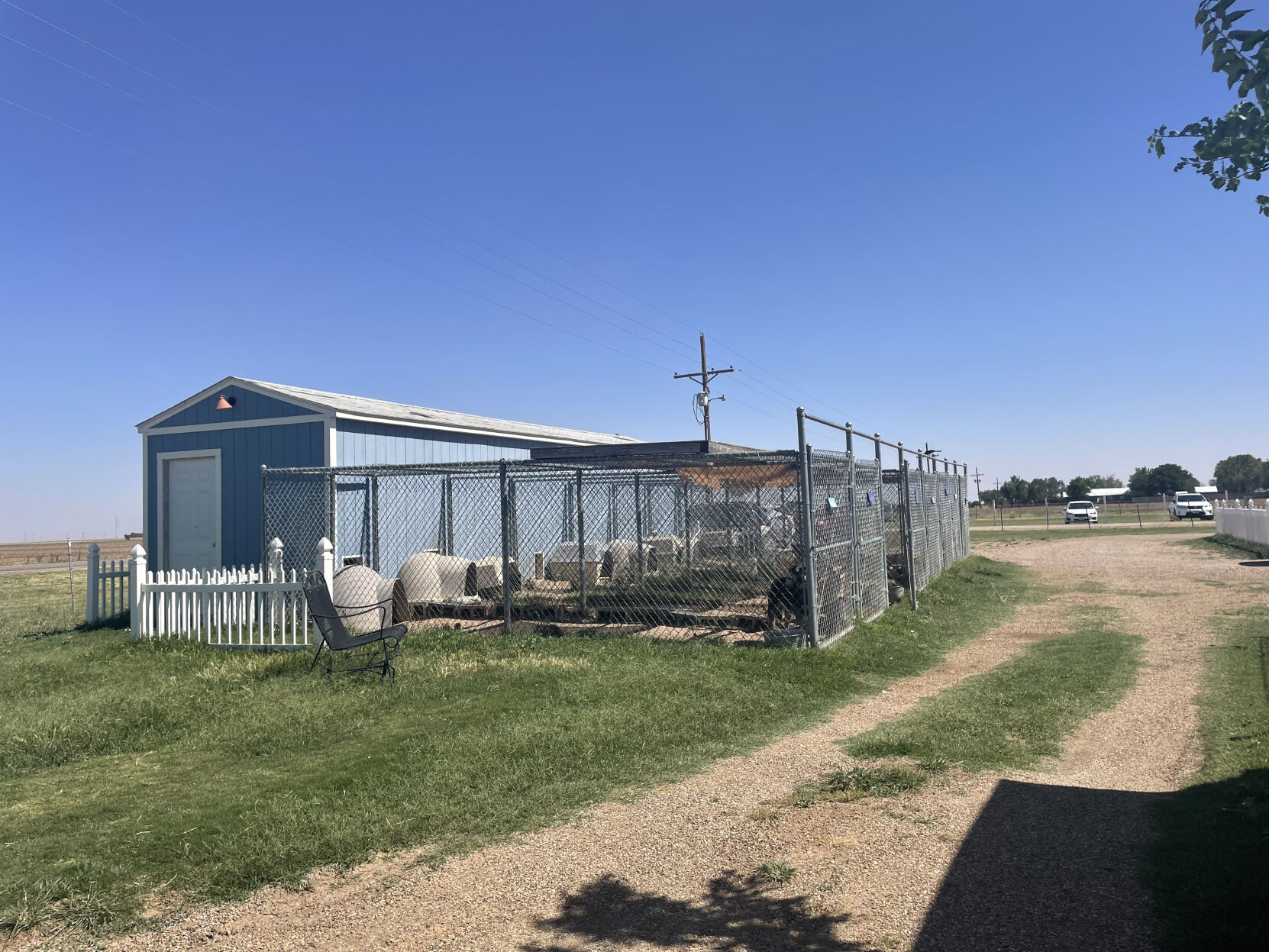 Haven Animal Care Outdoor Space